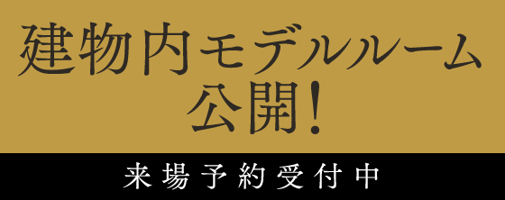 建物内モデルルーム公開！