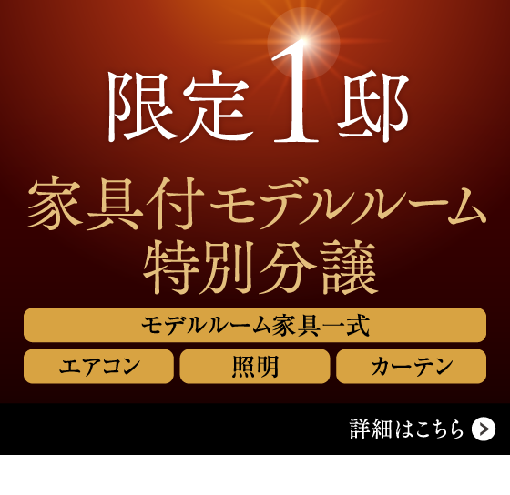 限定1邸 家具付モデルルーム特別分譲