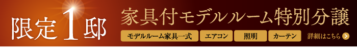 限定1邸 家具付モデルルーム特別分譲